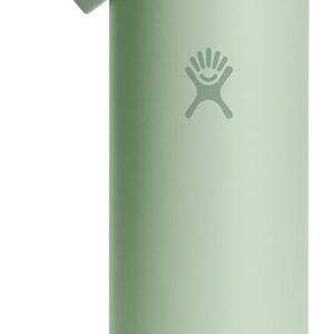 Hydro Flask 24 Oz Wide Flex Straw Cap Aloe