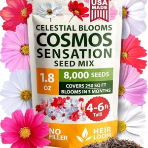 Cosmos Flower Seeds Bulk Pack for 2025 (1.8 oz) 8,000